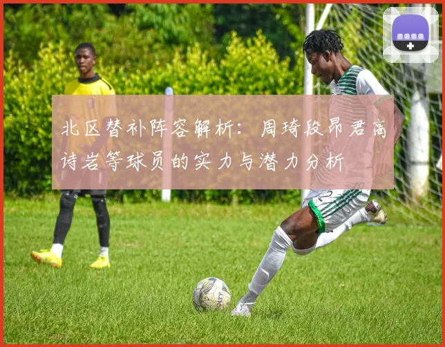 北区替补阵容解析：周琦段昂君高诗岩等球员的实力与潜力分析