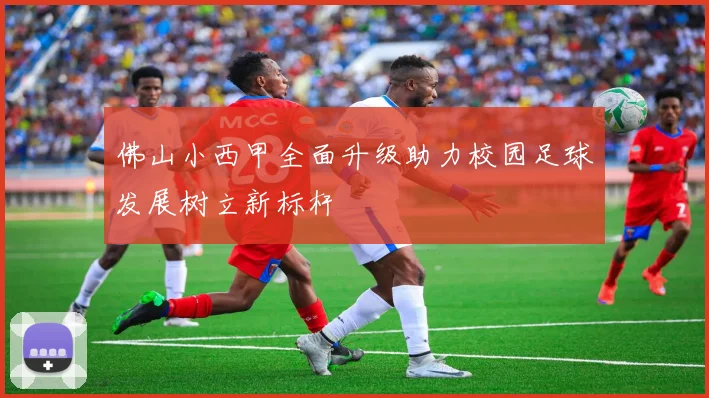 佛山小西甲全面升级助力校园足球发展树立新标杆