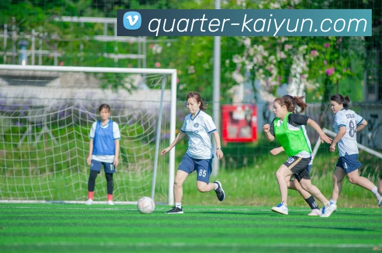 开云app服务体系